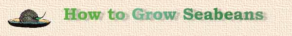 grow.jpg (9949 bytes)