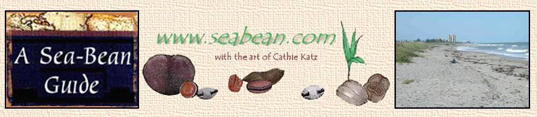 A Sea-Bean Guide