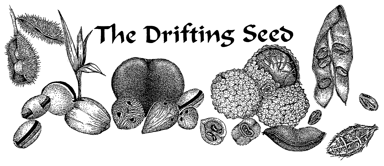 The Drifting Seed