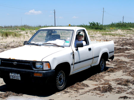 Galveston Beachcombing Buggy, Cathy Yow