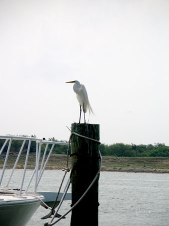 Port O'Connor Intracoastal