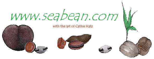 Welcome to www.seabean.com