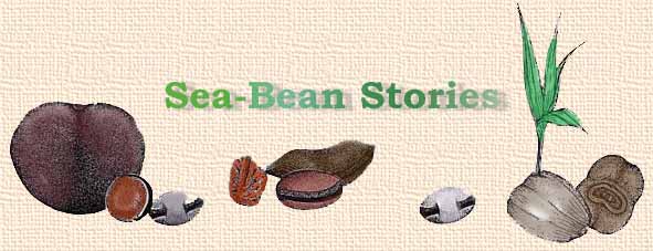 Sea-Bean Stories