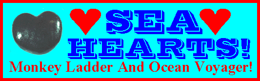 Sea Hearts