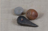 Starnut, Gray Nickarnut, and Hazelnut or Filbert