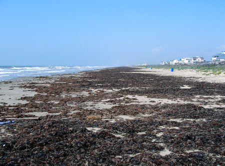 Galveston Wrack