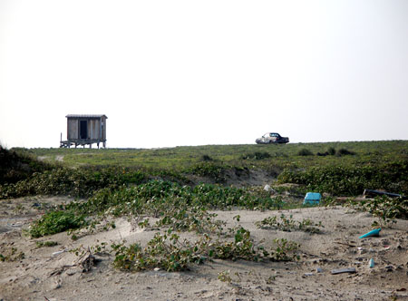 Matagorda House and Car