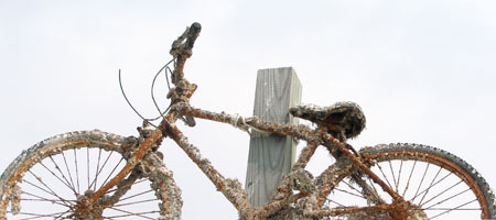 Port O'Connor Barnacle Bike