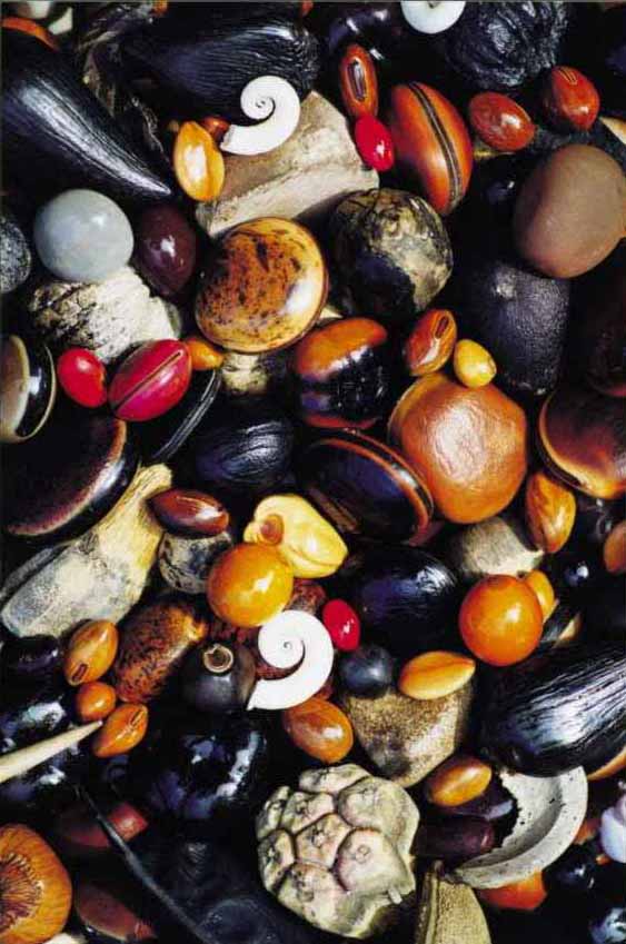 sea-bean collage
