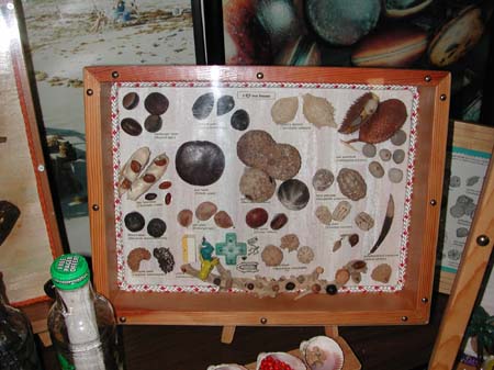 20 Mike Stewart's Display