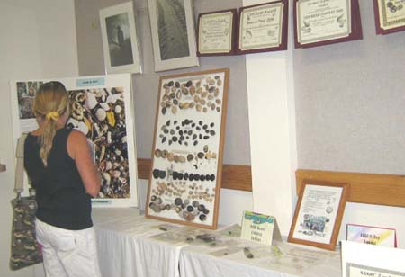 16 Displays & Odd Bean Contest